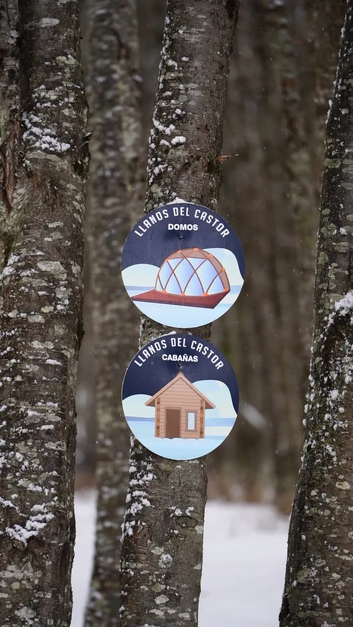 Domo Bosque — foto 4 de 4 del material oficial