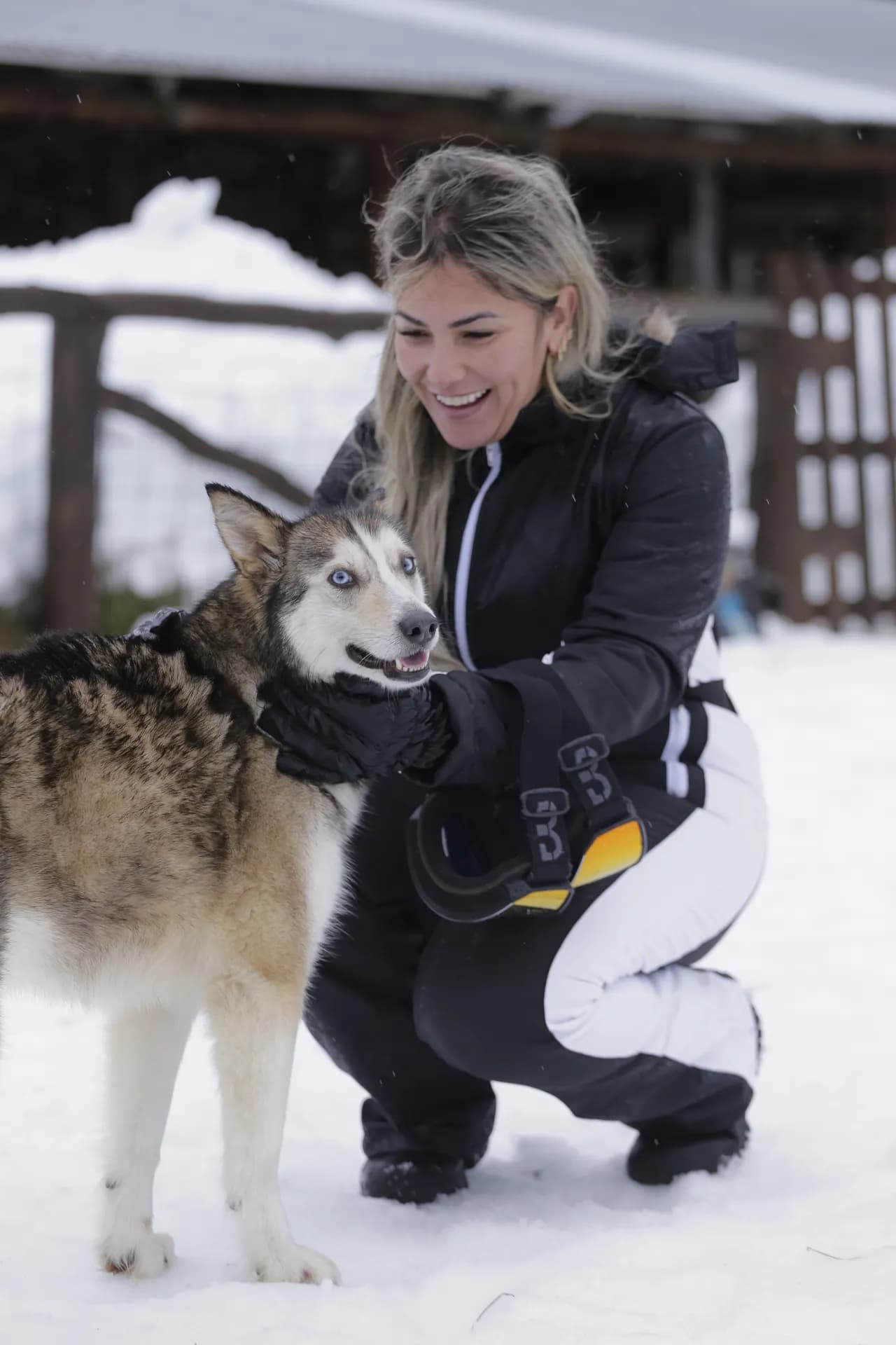 Visita aos cães de trenó